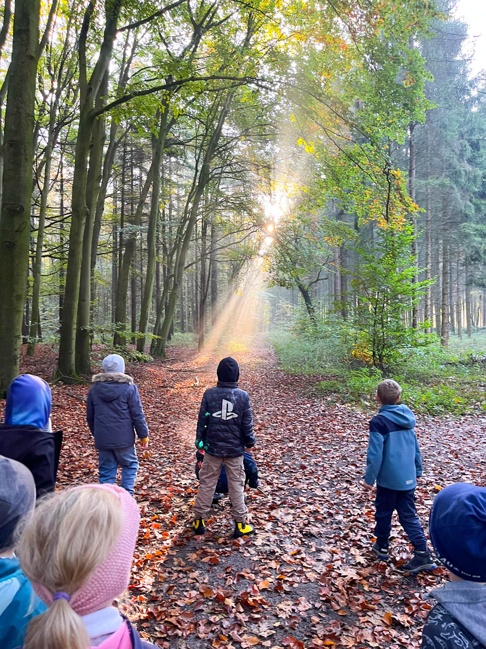 Waldpaedagogik-fuer-Kinder